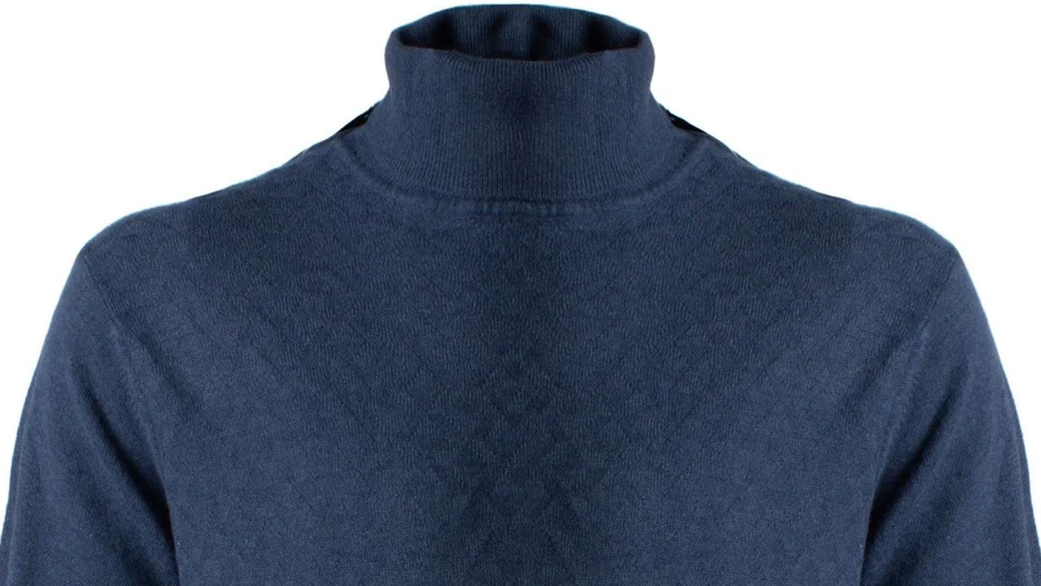 Turtleneck and Mock Neck Sweaters