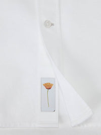 Harrison Button Down Oxford Shirt in White by Robert Talbott