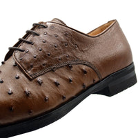 Andrea Ostrich Quill Lace Up in Brandy by Zelli Italia