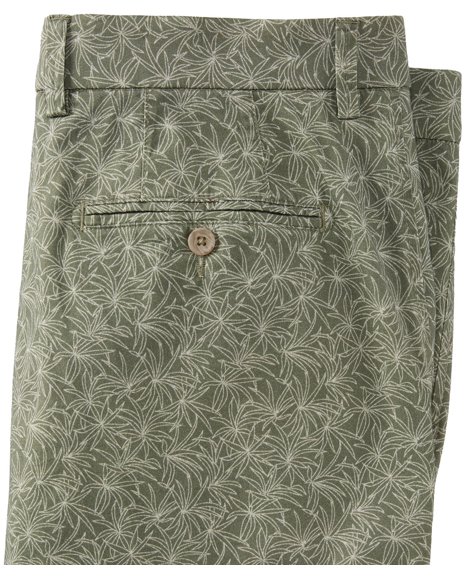 Tropical Leaf Print Lightweight Superfine Twill Shorts in Choice of Colors (Drummond Traditional Fit) by Ballin