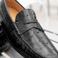 Monza Ostrich Quill Driver in Black by Zelli Italia