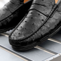 Monza Ostrich Quill Driver in Black by Zelli Italia