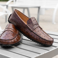 Monza Ostrich Quill Driver in Nicotine by Zelli Italia