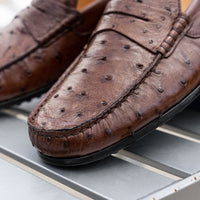 Monza Ostrich Quill Driver in Nicotine by Zelli Italia