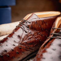 Marco Ostrich Quill Chukka Boot in Brown by Zelli Italia