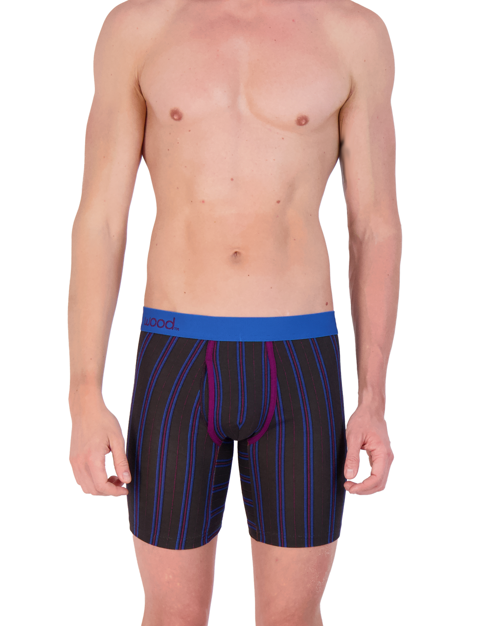 Biker Brief w/ Fly in Triple Threat Stripe by Wood Underwear