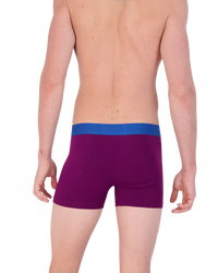 Boxer Brief w/ Fly in Dark Purple by Wood Underwear