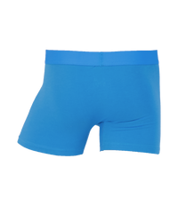 Boxer Brief w/ Fly in Swedish Blue by Wood Underwear