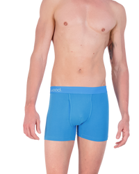Boxer Brief w/ Fly in Swedish Blue by Wood Underwear