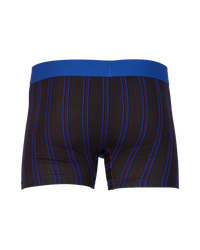 Boxer Brief w/ Fly in Triple Threat Stripe by Wood Underwear