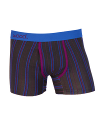 Boxer Brief w/ Fly in Triple Threat Stripe by Wood Underwear
