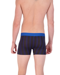 Boxer Brief w/ Fly in Triple Threat Stripe by Wood Underwear