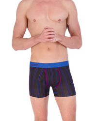 Boxer Brief w/ Fly in Triple Threat Stripe by Wood Underwear