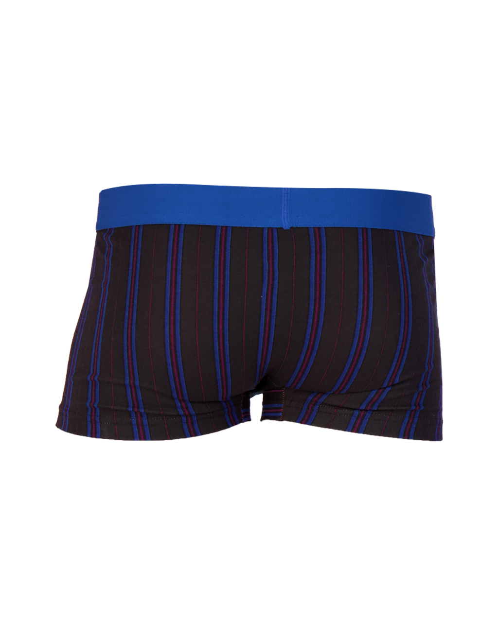 Trunk Style Briefs in Triple Threat Stripe by Wood Underwear