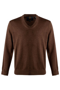 Extra Fine 'Zegna Baruffa' Merino Wool V-Neck Sweater in Brown by Viyella