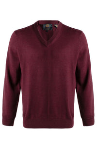 Extra Fine 'Zegna Baruffa' Merino Wool V-Neck Sweater in Buch Red by Viyella