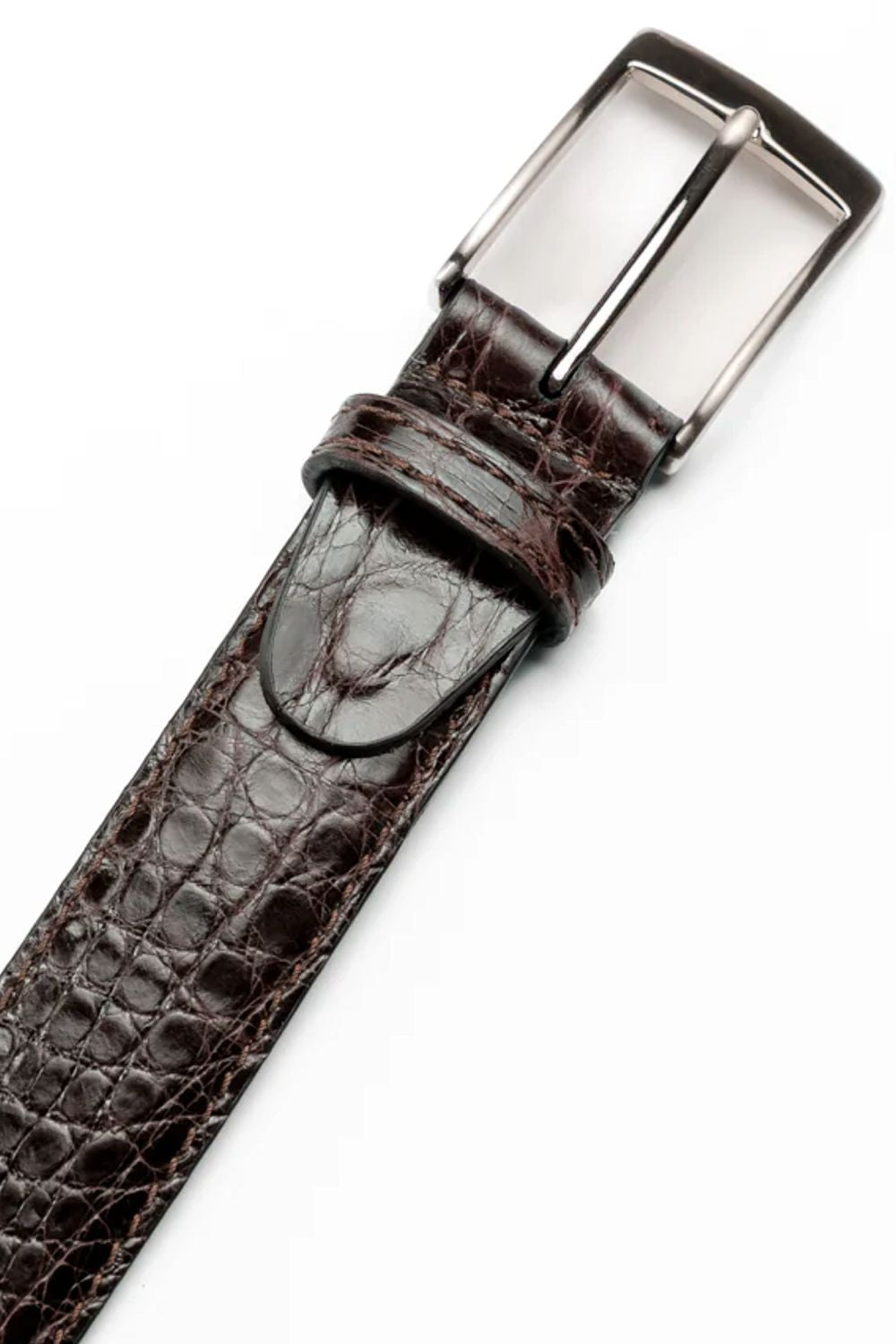Caiman Crocodile Dress Belt in Nicotine by Zelli Italia