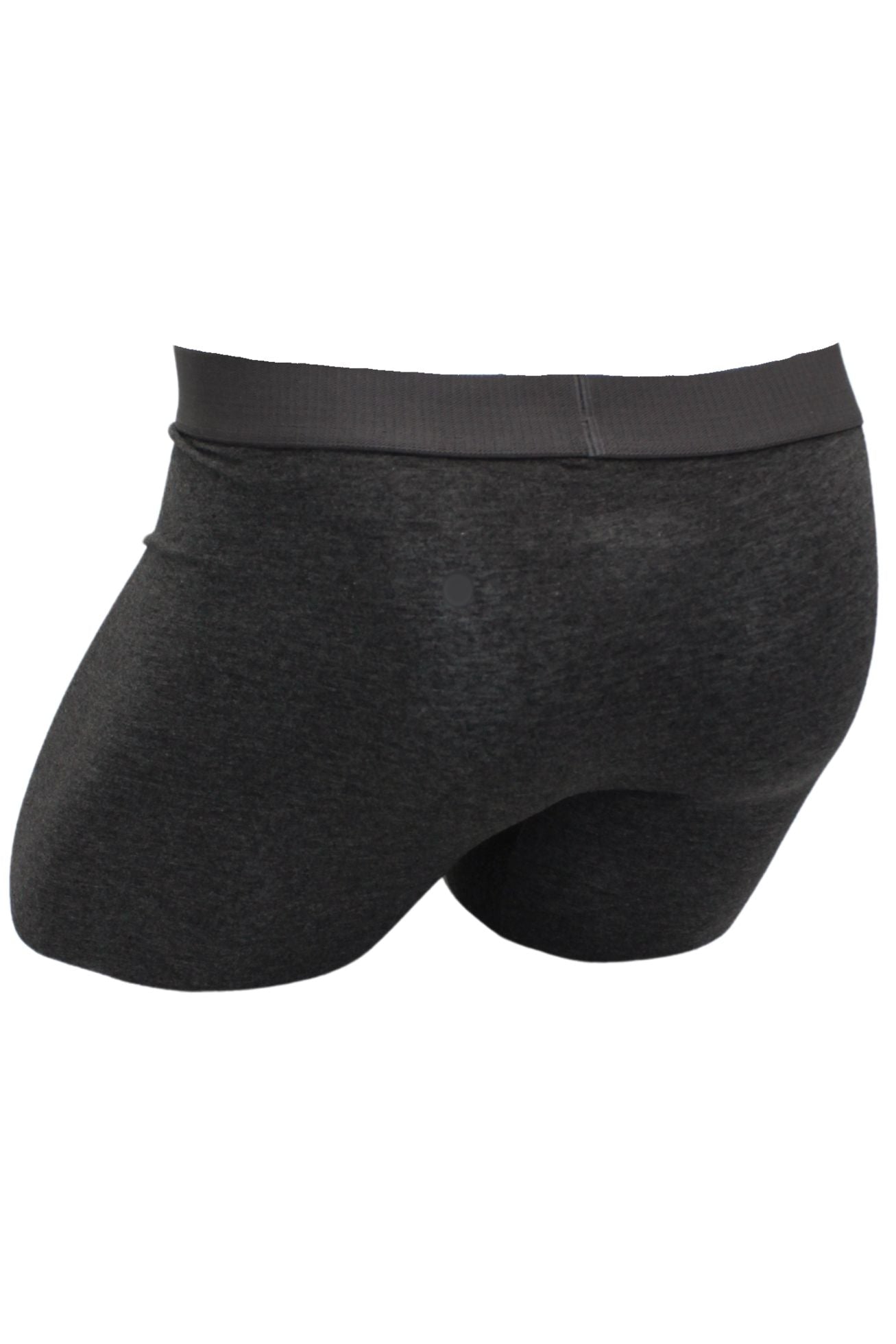 Biker Brief w/ Fly in Graphite by Wood Underwear