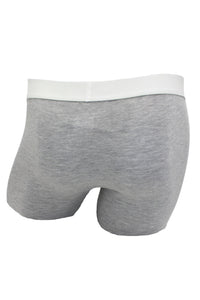 Biker Brief w/ Fly in Heather Grey by Wood Underwear