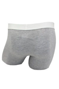 Biker Brief w/ Fly in Heather Grey by Wood Underwear