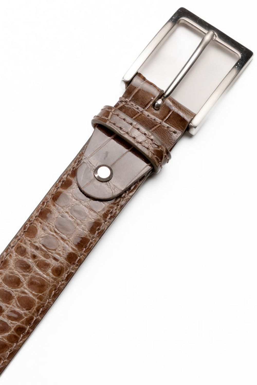 High Shine Alligator Belt in Taupe by Zelli Italia