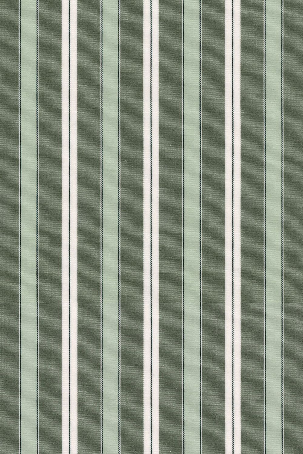 Fine Poplin Multi Stripe Cotton Sport Shirt in Sage by Scott Barber