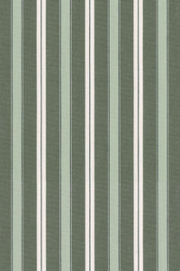 Fine Poplin Multi Stripe Cotton Sport Shirt in Sage by Scott Barber