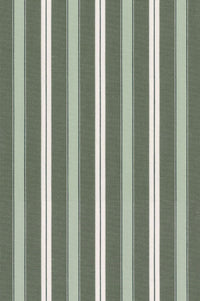 Fine Poplin Multi Stripe Cotton Sport Shirt in Sage by Scott Barber