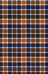 Prep Twill Check Long Sleeve Sport Shirt with Button Down Collar in Auburn and Navy Multi by Scott Barber