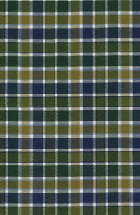 Prep Twill Check Long Sleeve Sport Shirt with Button Down Collar in Hunter Multi by Scott Barber
