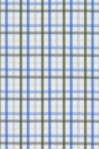 Stretch Tattersall Cotton Comfort Sport Shirt in Sage and Blue by Scott Barber