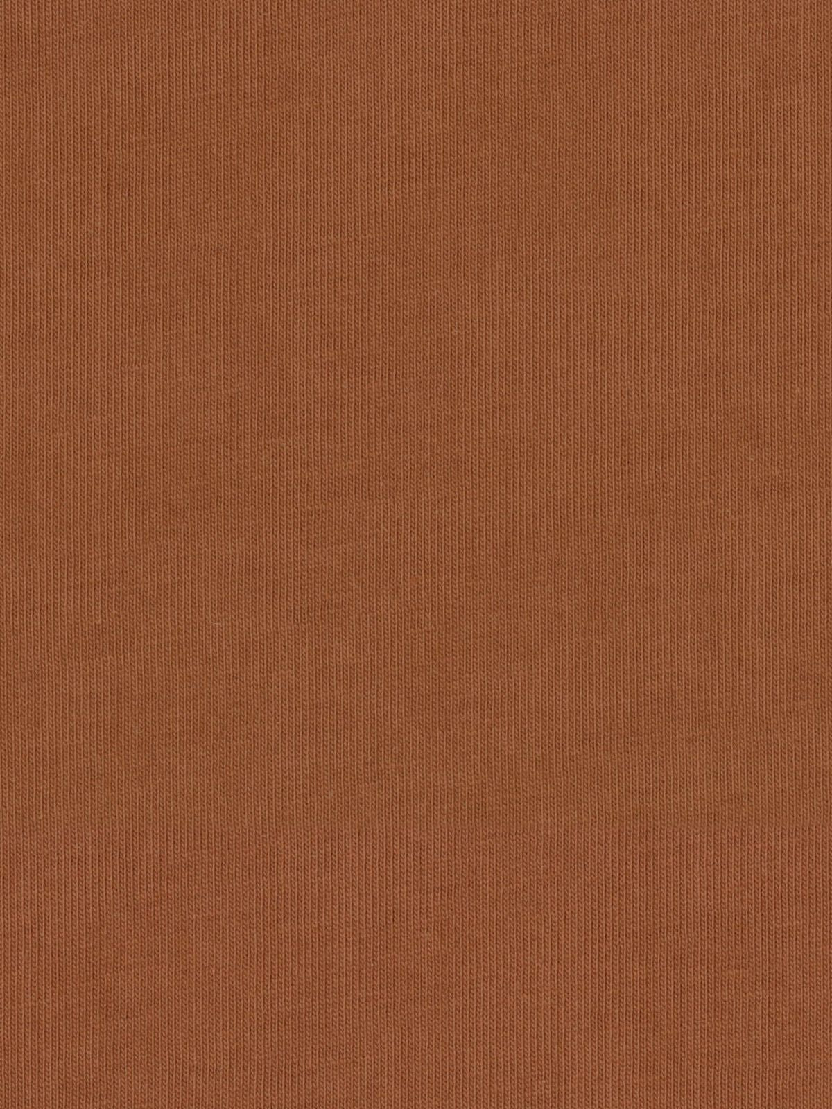 Peruvian Cotton Mock Turtleneck in Auburn by Scott Barber