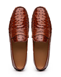 Monza Ostrich Quill Driver in Brandy by Zelli Italia