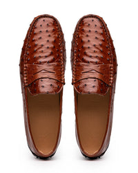 Monza Ostrich Quill Driver in Brandy by Zelli Italia