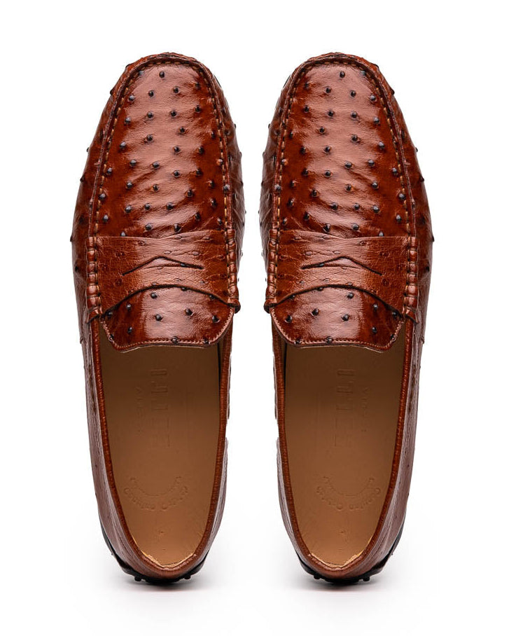 Monza Ostrich Quill Driver in Brandy by Zelli Italia