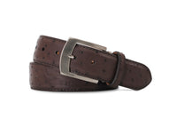 Ostrich Quill Belt in Nicotine by Brookes & Hyde
