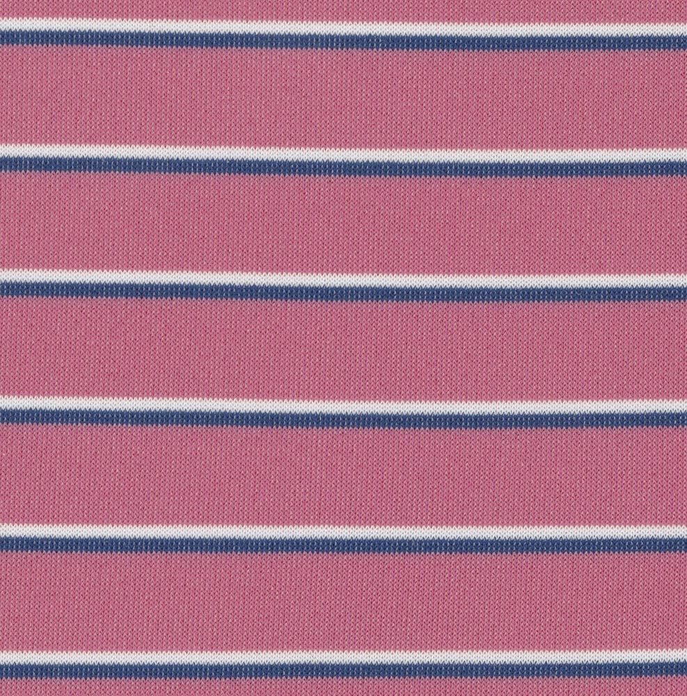 Shaded Stripe Tech Polo in Nantucket Red by Scott Barber