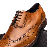 Stephano Wingtip Italian Calfskin Oxford in Camel by Zelli Italia