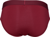 Hip Brief in Burgundy Red by Wood Underwear