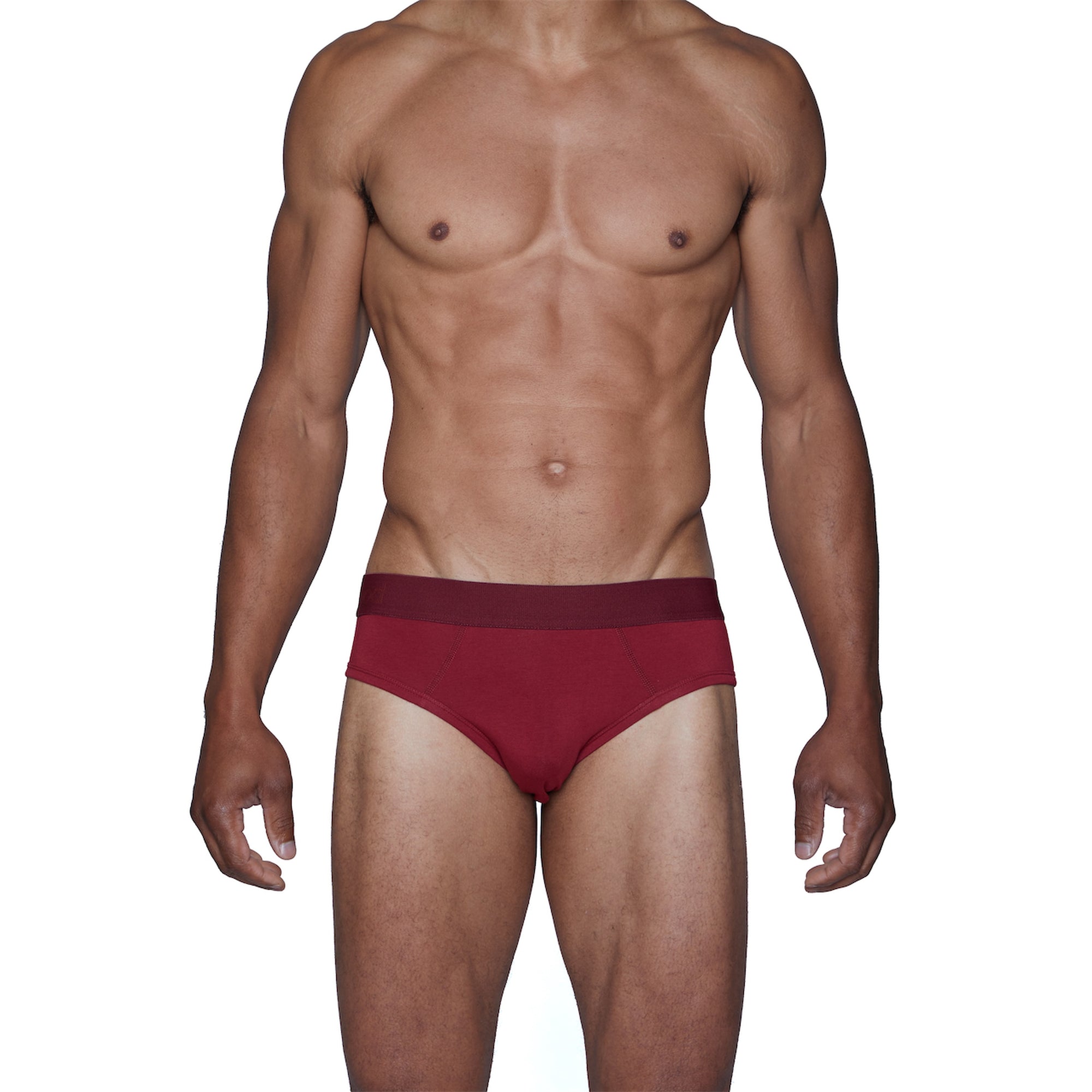 Hip Brief in Burgundy Red by Wood Underwear