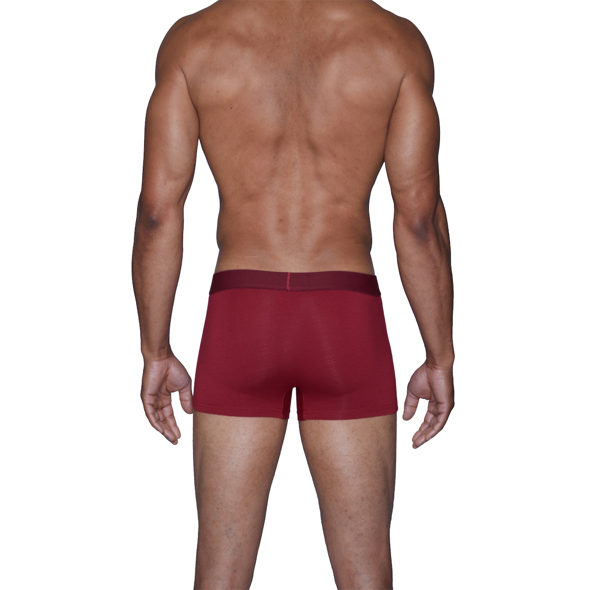 Trunk Style Briefs in Burgundy Red by Wood Underwear