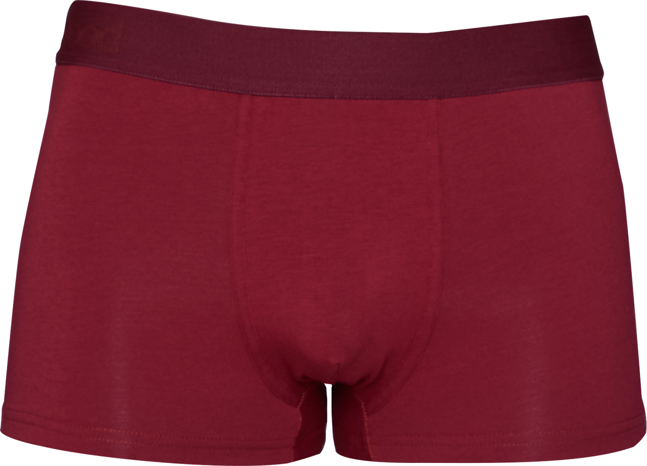 Trunk Style Briefs in Burgundy Red by Wood Underwear