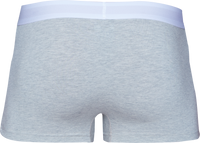 Trunk Style Briefs in Heather Grey by Wood Underwear