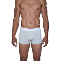 Trunk Style Briefs in Heather Grey by Wood Underwear