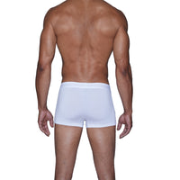Trunk Style Briefs in White by Wood Underwear