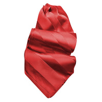 Tonal Stripe Silk Satin Woven Jacquard Ascot in Choice of 24 Colors by Dion