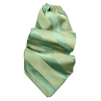 Tonal Stripe Silk Satin Woven Jacquard Ascot in Choice of 24 Colors by Dion