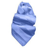 Tonal Stripe Silk Satin Woven Jacquard Ascot in Choice of 24 Colors by Dion