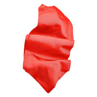 Silk Faille Woven Jacquard Ascot in Choice of 24 Colors by Dion