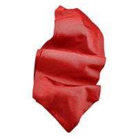 Silk Faille Woven Jacquard Ascot in Choice of 24 Colors by Dion